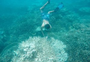 Du lịch Côn Đảo: Tất tần tật thông tin về Côn Đảo bạn không nên bỏ qua