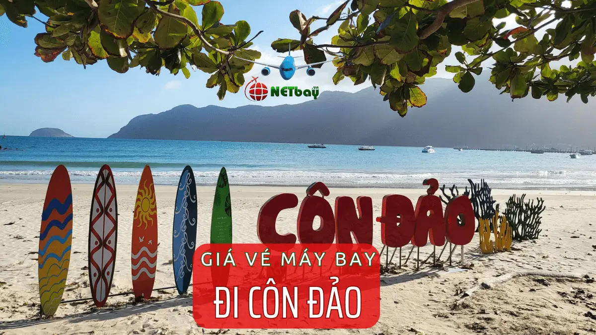 Vé máy bay đi Côn Đảo – Cập nhật giá vé và thông tin chi tiết cho hành trình của bạn