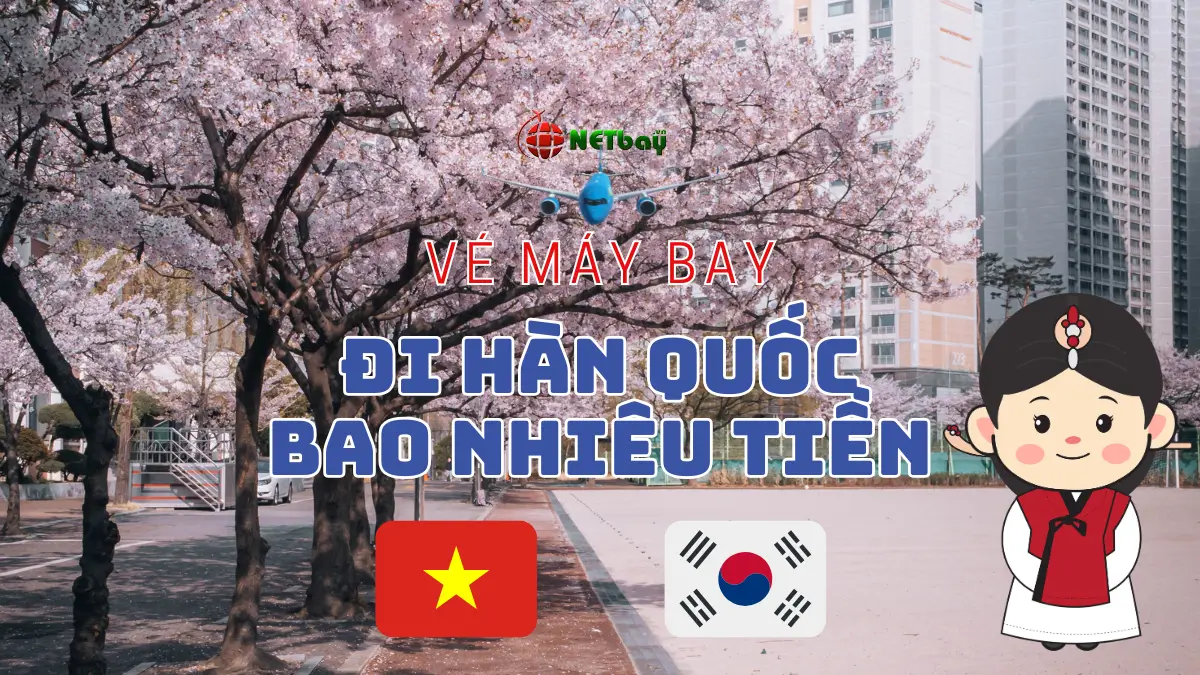 Vé máy bay đi Hàn Quốc bao nhiêu tiền? Cập nhật giá mới nhất và mẹo tiết kiệm